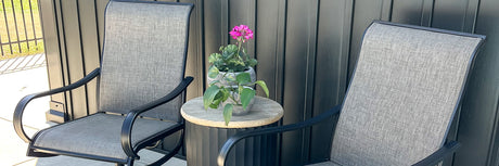 Dining Chairs